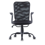 Style Ergonomic Chair In Black Colour By Fern India