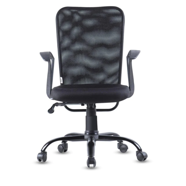 Style Ergonomic Chair In Black Colour By Fern India