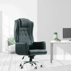 Ajaraham Executive Chair in Black Colour By Fern India