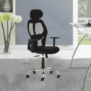 Enifed Ergonomic Chair in Black Colour by Fern India