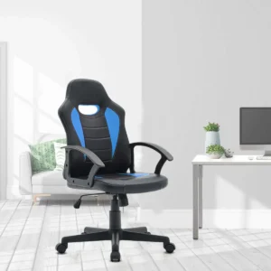 Racing Ergonomic Chair in Blue & Black Colour by Fern India