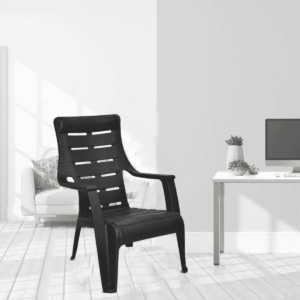 Yadnus Premium Plastic Chair in Iron Black Colour By Fern India