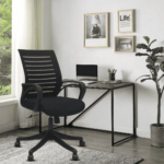 Tnagele Ergonomic Chair in Black Colour by Fern India