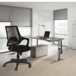 Temoc Ergonomic Chair in Black Colour by Fern India