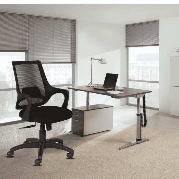 Temoc Ergonomic Chair in Black Colour by Fern India