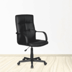 Axela Ergonomic Chair in Black Colour by Fern India