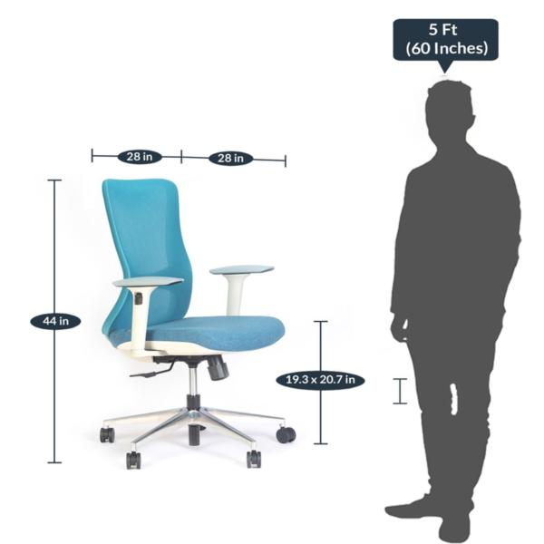 Otoy Mid Back Ergonomic Chair in Black Colour by Fern India
