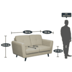 Eilyk 2 Seater Sofa in Beige Colour by FernInida.com