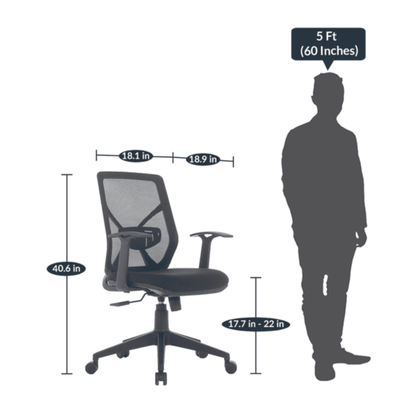 Ztif Medium Back Ergonomic Chair in Black Colour by Fern India