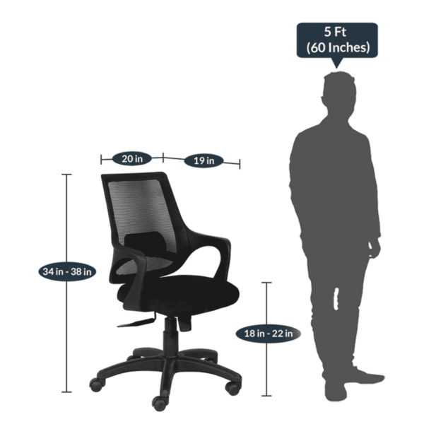 Temoc Ergonomic Chair in Black Colour by Fern India