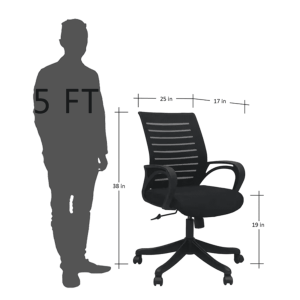 Tnagele Ergonomic Chair in Black Colour by Fern India