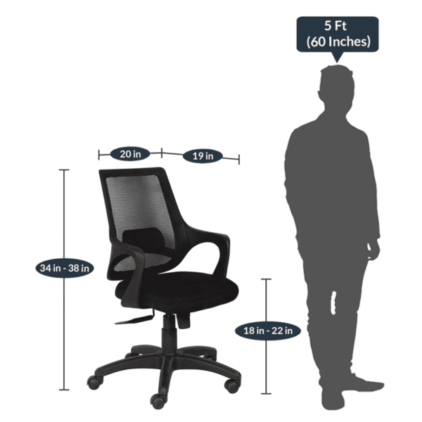 Temoc Ergonomic Chair in Black Colour by Fern India