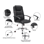 TTevac Ergonomic Chair in Black Colour by Fern India