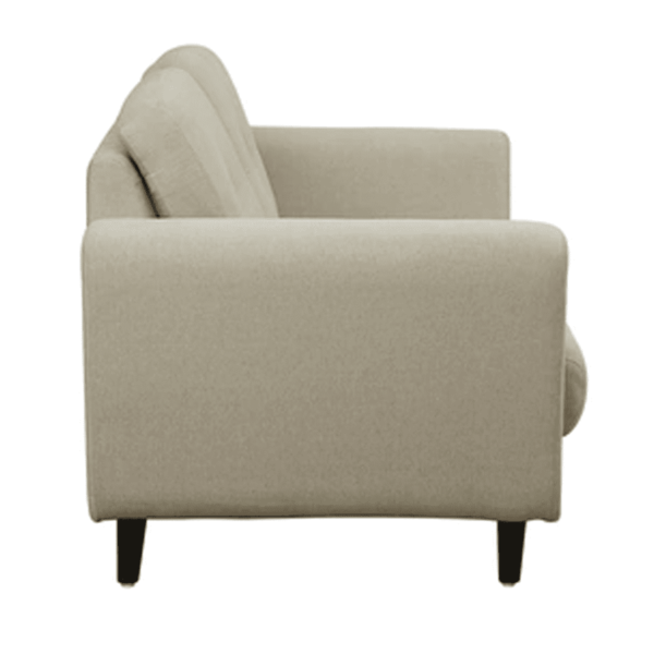 Eilyk 2 Seater Sofa in Beige Colour by FernInida.com