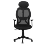 Xirtam Ergonomic Chair in Black Colour by Fern India