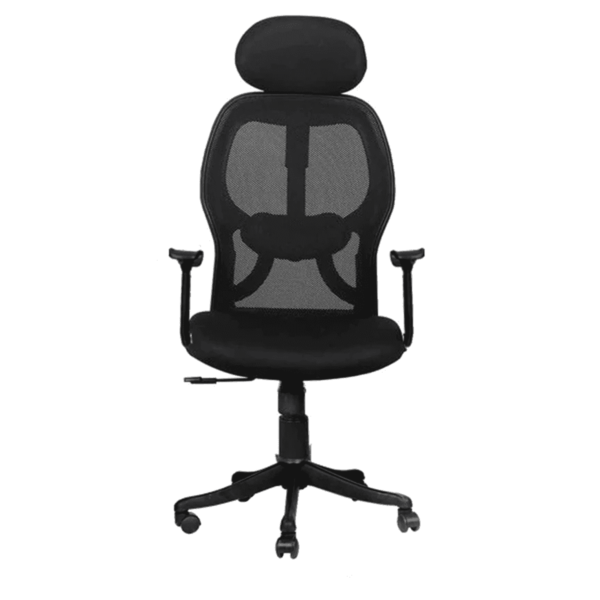 Xirtam Ergonomic Chair in Black Colour by Fern India