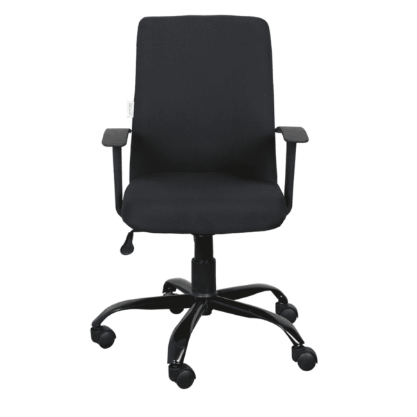Ebuc Ergonomic Chair in Black Colour By Fern India