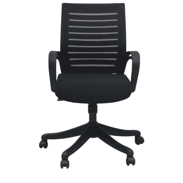 Tnagele Ergonomic Chair in Black Colour by Fern India