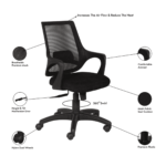 Temoc Ergonomic Chair in Black Colour by Fern India