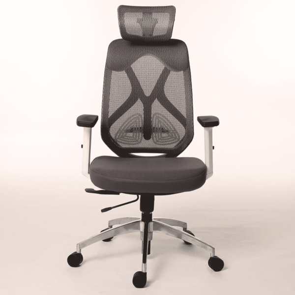 Nez High Back Ergonomic Chair in White & Grey Colour by Fern India