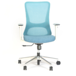 Otoy Mid Back Ergonomic Chair in Black Colour by Fern India