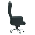 Ajaraham Executive Chair in Black Colour By Fern India