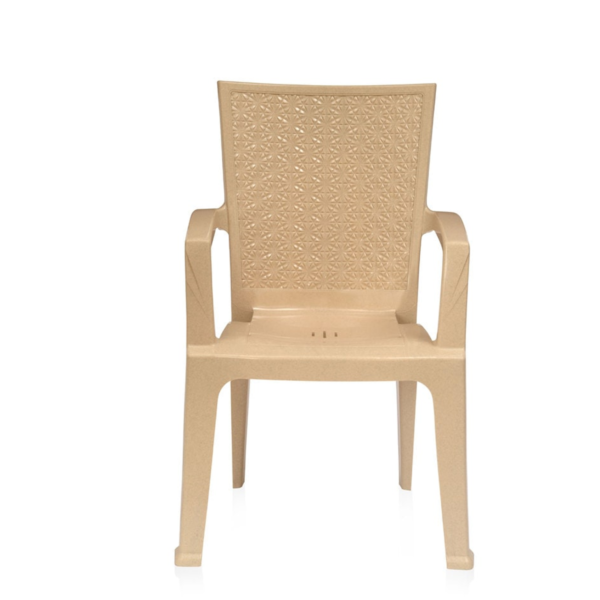 Plastic Chair (Set of 2) in Marble Beige Colour By Fern India