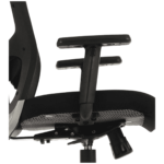 Enifed Ergonomic Chair in Black Colour by Fern India