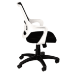 Temoc Ergonomic Chair in Black & White Colour by Fern India