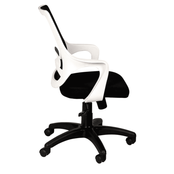 Temoc Ergonomic Chair in Black & White Colour by Fern India
