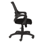Temoc Ergonomic Chair in Black Colour by Fern India