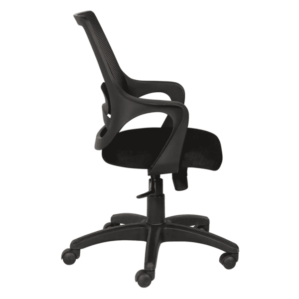 Temoc Ergonomic Chair in Black Colour by Fern India