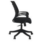 Tnagele Ergonomic Chair in Black Colour by Fern India