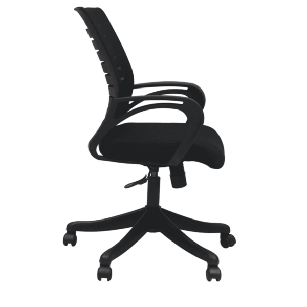 Tnagele Ergonomic Chair in Black Colour by Fern India