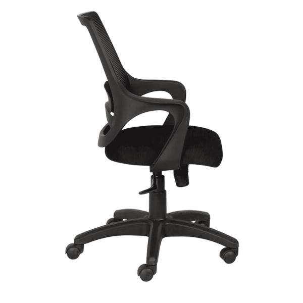 Temoc Ergonomic Chair in Black Colour by Fern India