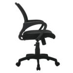 Ergonomic Chair in Black Colour by Fern India