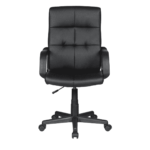 Axela Ergonomic Chair in Black Colour by Fern India