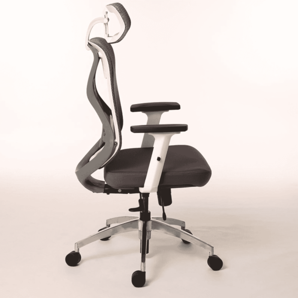 Nez High Back Ergonomic Chair in White & Grey Colour by Fern India
