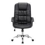 TTevac Ergonomic Chair in Black Colour by Fern India