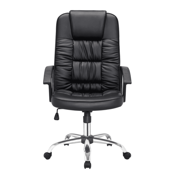 TTevac Ergonomic Chair in Black Colour by Fern India