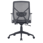 Ztif Medium Back Ergonomic Chair in Black Colour by Fern India