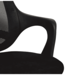 Temoc Ergonomic Chair in Black Colour by Fern India
