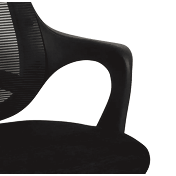 Temoc Ergonomic Chair in Black Colour by Fern India