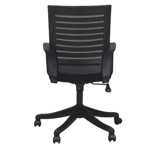 Tnagele Ergonomic Chair in Black Colour by Fern India
