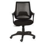 Temoc Ergonomic Chair in Black Colour by Fern India