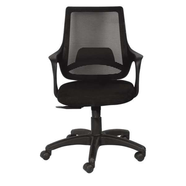 Temoc Ergonomic Chair in Black Colour by Fern India