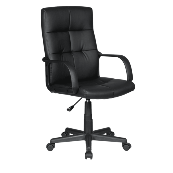 Axela Ergonomic Chair in Black Colour by Fern India