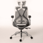 Nez High Back Ergonomic Chair in White & Grey Colour by Fern India