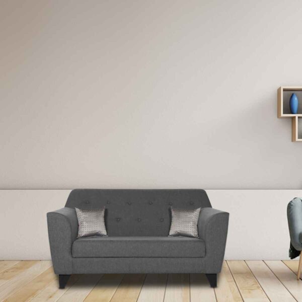 Ilab 2 Seater Sofa in Grey Colour by FernIndia.com