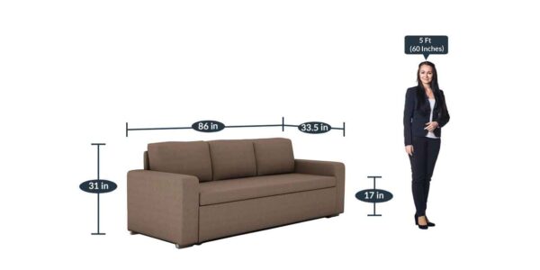 Sirrom 3 Seater Sofa Cum Bed in Brown Colour by FernIndia.com